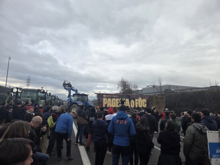 213 electors cridats a votar a les eleccions agràries al Lluçanès