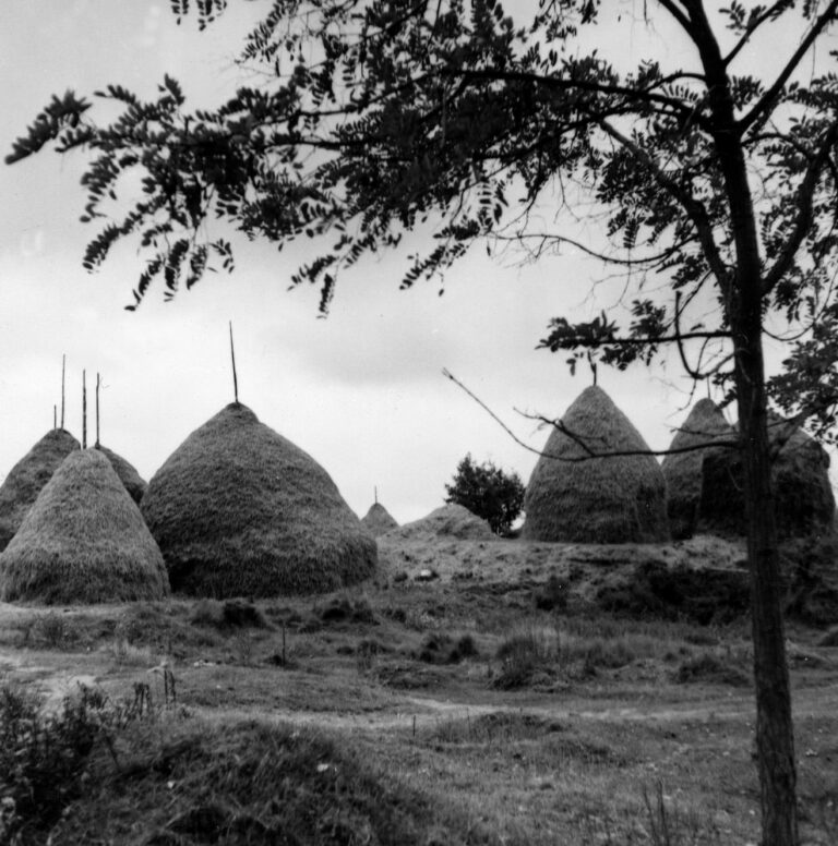 Història de la fàbrica de Sant Boi de Lluçanès