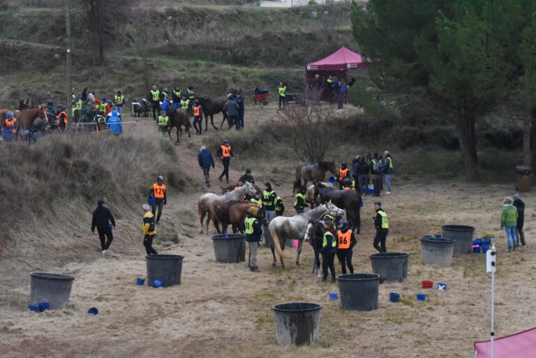 140 genets participen al Raid de Sant Feliu Sasserra – XV Memorial Quico Yebra