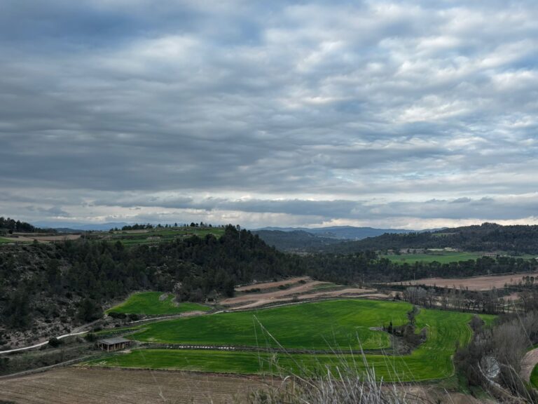 El Govern desenterra l’Eix Transversal Ferroviari, que passaria pel Lluçanès