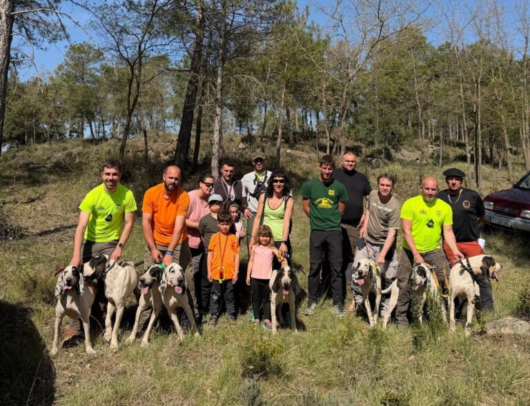 Éxit de participants i públic a la nova edició de la prova de rastre del Lluçanès