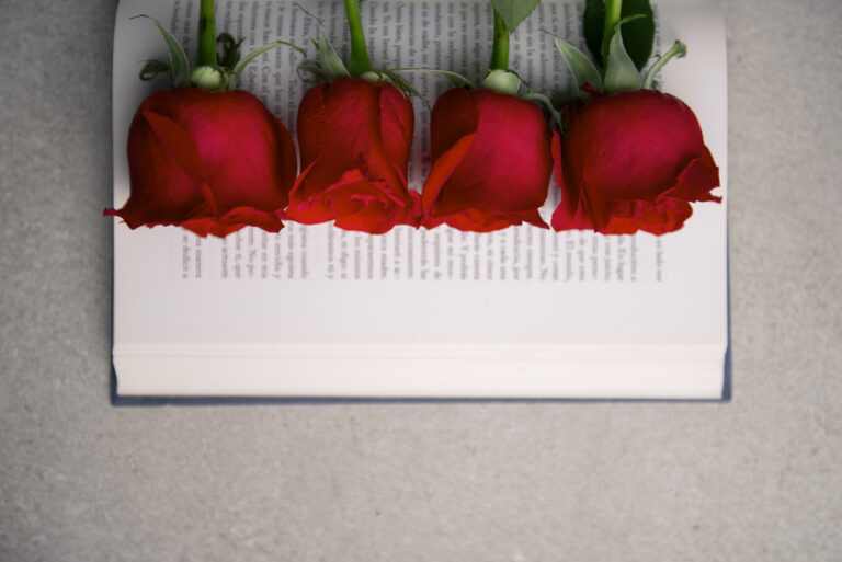 El Lluçanès s’escriu i es deixa llegir