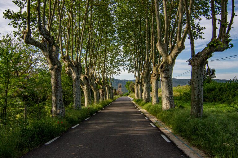 Accident de cotxe contra un arbre a la carretera de la riera de Merlès